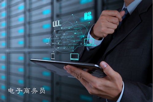 職位分析 電子商務員