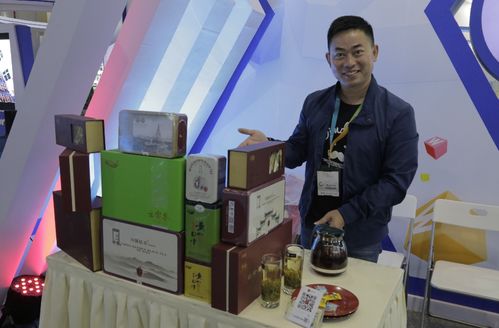 2016中國杭州國際電子商務(wù)博覽會盛大開幕