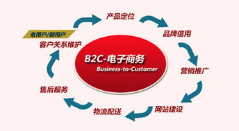 B2C電子商務(wù)的盈利模式探析
