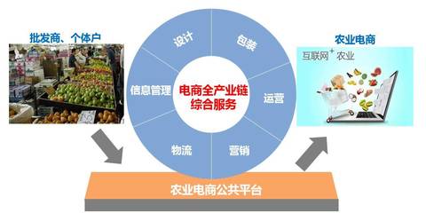 要定位,更要落地:縣域農(nóng)業(yè)電商“麻陽模式”初探